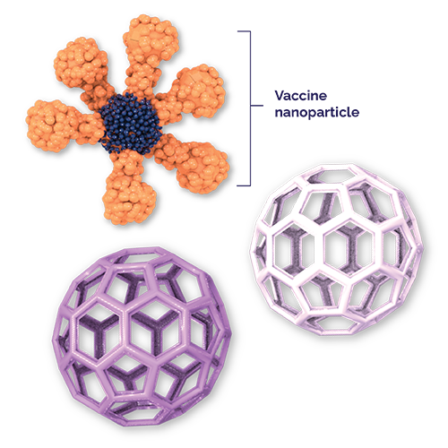 Vaccine nanoparticle